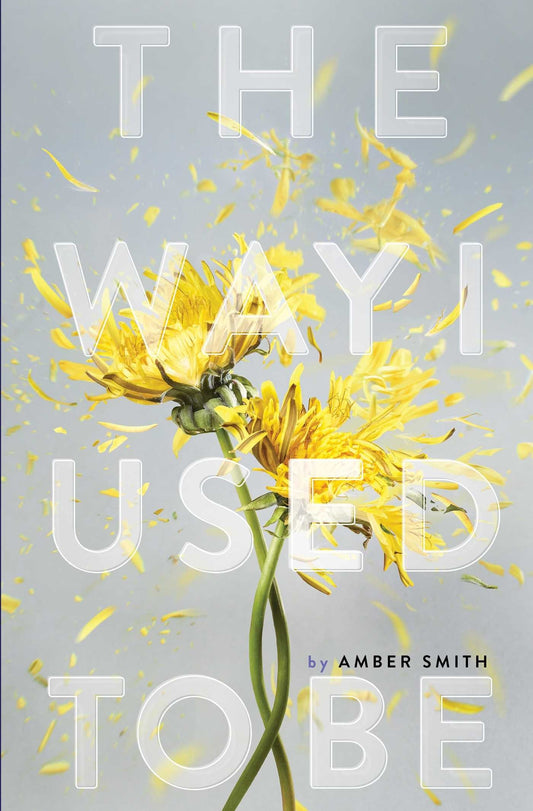 The Way I Used to Be - amber Smith (envío inmediato)
